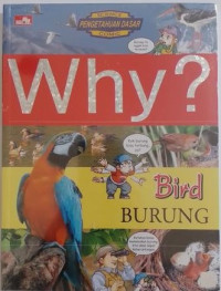 Image of Why? Burung
